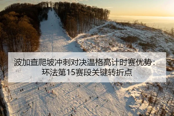 波加查爬坡冲刺对决温格高计时赛优势：环法第15赛段关键转折点