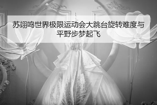 su-yi-ming-shi-jie-ji-xian-yun-dong-hui-da-tiao-tai-xuan-zhuan-nan-du-yu-ping-ye-bu-meng-qi-fei-2-559.jpg