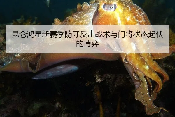 昆仑鸿星新赛季防守反击战术与门将状态起伏的博弈